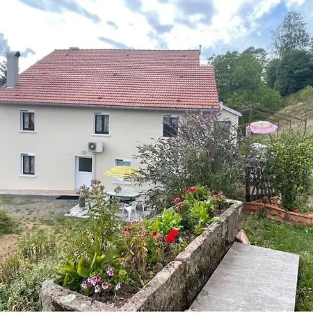 Grande Maison A A Bresse Avec Jacuzzi Cheminee Et Jardin Ideal Pour Les Familles Et Amis Vakantiehuis *