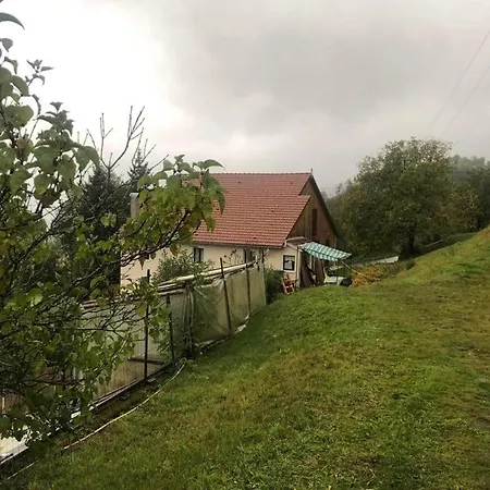 Grande Maison A A Bresse Avec Jacuzzi Cheminee Et Jardin Ideal Pour Les Familles Et Amis Vakantiehuis