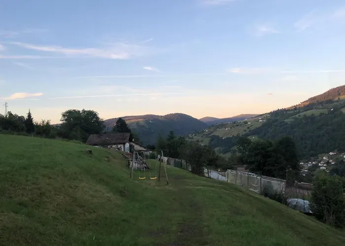 Grande Maison A A Bresse Avec Jacuzzi Cheminee Et Jardin Ideal Pour Les Familles Et Amis