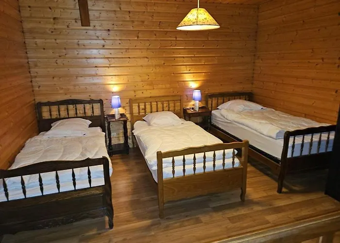 Grande Maison A A Bresse Avec Jacuzzi Cheminee Et Jardin Ideal Pour Les Familles Et Amis